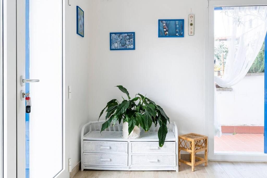 קוורצ'יאנלה Rosemary'S Home מראה חיצוני תמונה